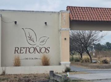 Terreno · 484m² · Venta Terreno Retoños de Colon