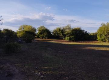 Campo · 950000m² · Campo en Cienaga de Allende