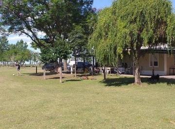 Campo · 435000m² · 7 Ambientes · Campo en Ramallo