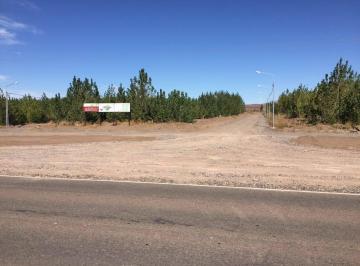 Terreno · 540m² · Lotes en Añelo - Ruta 17, Km 156 - Barrio La Forestada