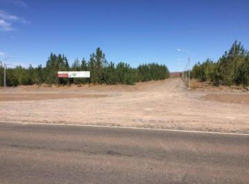 Terreno , Añelo · Lotes en Añelo - Ruta 17, Km 156 - Barrio La Forestada