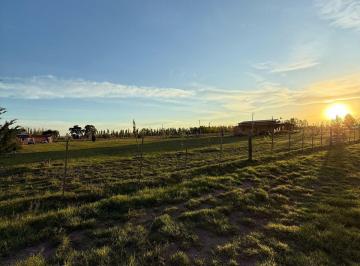 Terreno , San Rafael · Terreno, Lote