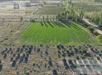 Campo · 72000m² · Finca en Oportunidad! Finca en Venta