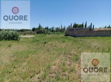 Terreno · 875m² · Terreno en Cinco Saltos