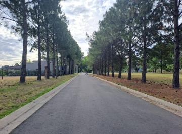 Terreno · 375m² · Venta Lote Nueva Zelaya 1 Arbolado Asfaltado Listo Para Construir