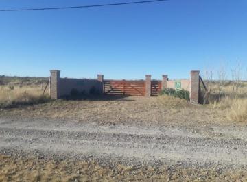 Terreno · 19250m² · Terrenos/fracciones/loteos - Loteos - Puerto Madryn