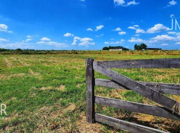 Terreno · 10000m² · Lote en Barrio de Chacras en Zelaya con Entorno Natural y Gran Amplitud