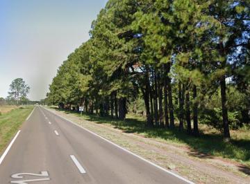 Campo · 22770000m² · Campo en Ituzaingó