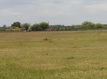 Campo · 30000m² · Campo en Pavon