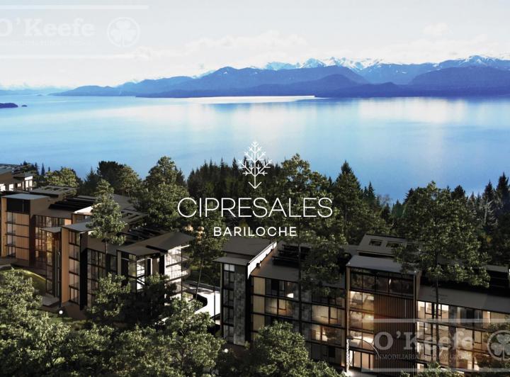 Desarrollo horizontal · Cipresales Modulo 2