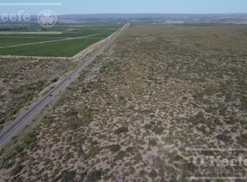 Campo · 160000m² · Campo en Venta de 16 Has en Mendoza