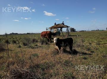 Terreno · 43424m² · Venta de Cuatro Hectáreas en Virrey del Pino