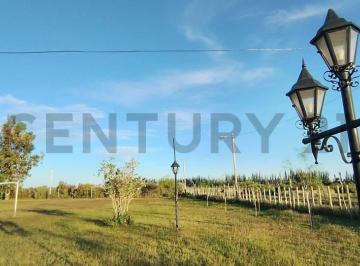Quinta vacacional · 11m² · 6 Ambientes · 10 Cocheras · Century 21 Vende Salón Para Eventos, Granja y Cabaña en Lavalle, Mendoza