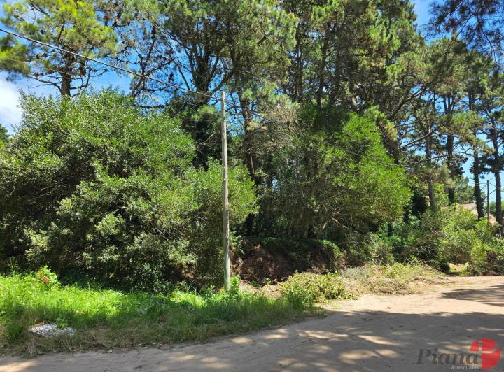 Terreno · 554m²