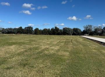 Terreno · 1000m² · Adg. Lote Central - El Cardal 3