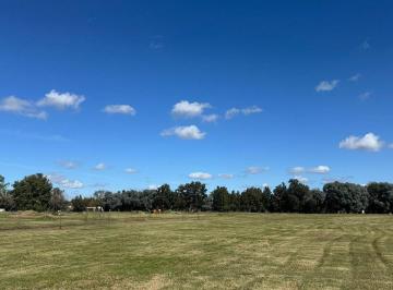 Terreno · 1000m² · Adg. Lote Interno y Central en El Cardal 3