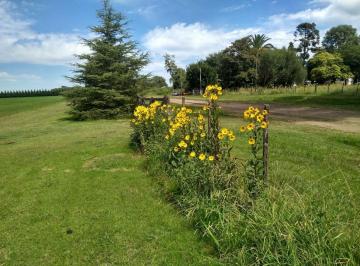 Campo , Venado Tuerto · Venado Tuerto Venta 40 Ha 227 Lotes - Barrio Semi Privado - Posee Permisos y Otros en Trámite