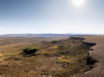 Terreno · 75000000ha · Campo “el Sauce ”ubicación: en Ciudad de Zapala