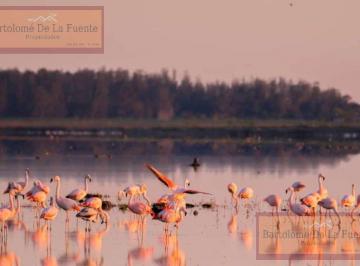 Campo · 160m² · 4 Ambientes · Chacra 7 Ha con Parque Thays - Junto a Lagunas en San Miguel del Monte