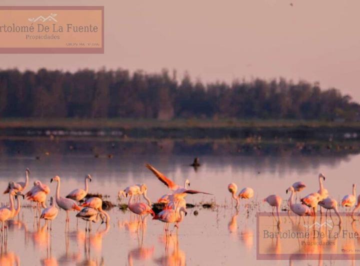 Campo · 160m² · 4 Ambientes