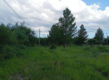 Terreno , San Francisco del Monte de Oro · Gran Terreno Sobre Ruta 9 – 8.370 m² con Arboleda, Ubicación Estratégica y Precio de Oportunidad