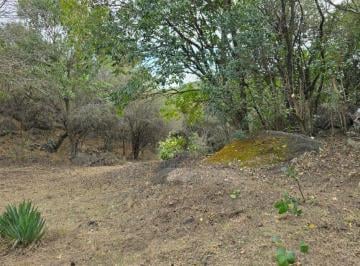 Terreno , Agua de Oro · Excelente. Terreno. Entorno Natural Único