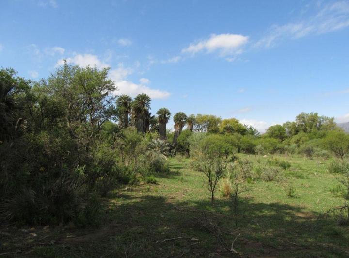 Terreno · 61000m²