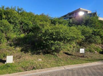 Foto · Lote Terreno en Venta en Boulevard Principal en La Deseada 1250 m Oportunidad Inversión
