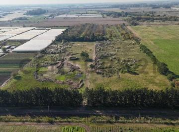 Terreno · 443m² · 167 y 612 - Lotes en Venta Arana Pinares de Arana