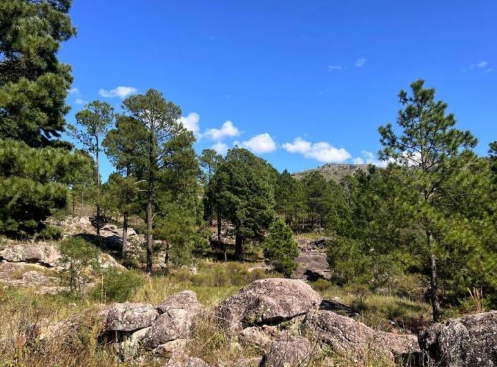 Terreno · 5834m²