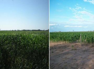 Foto · Campo en Venta - Santiago del Estero - Agrícola Ganadero - 2350 Ha