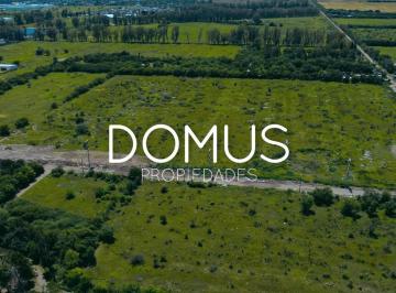 Terreno · 102000m² · Venta Terreno 10 Hectáreas - Ferreyra - Córdoba