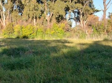 Terreno , Miramar · Venta Lote en Av del Golf Miramar