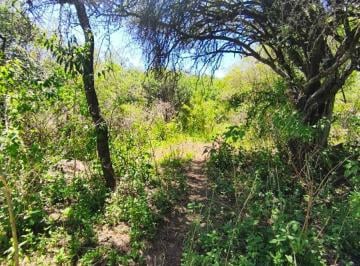 Terreno , Salsipuedes · Terreno en Salsipuedes