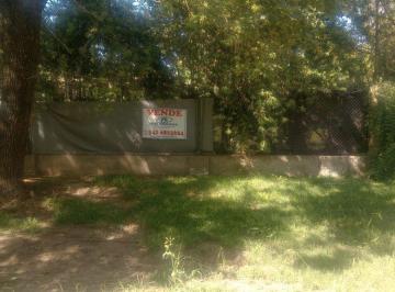 Terreno · 600m² · Lote Parquizado Próximo Al Rio Pueblo Esther