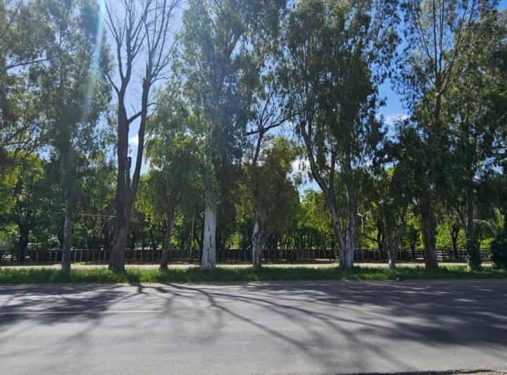 Campo · 50000m²