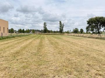 Terreno · 1200m² · ¡Sumérgete en El Apasionante Mundo de La Federala! Terreno de 1200 Alambrado!