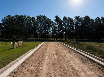 Terreno · 600m² · Lote Venta Diego Gaynor, Pueblo Rural