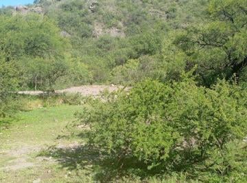 Terreno , San Francisco del Monte de Oro · Campo Virgen en San Francisco del Monte de Oro – 10,37 Ha Aprox. – Financiación Directa