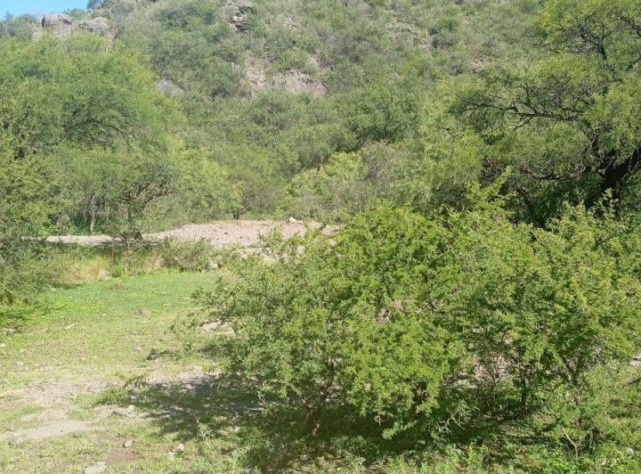Terreno · 10ha