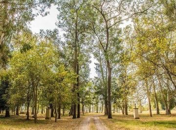 Terreno · 2200m² · Terreno en Lagunas del Golf