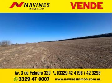 Terreno , San Pedro · Terreno de 31 Ha en Venta en San Pedro