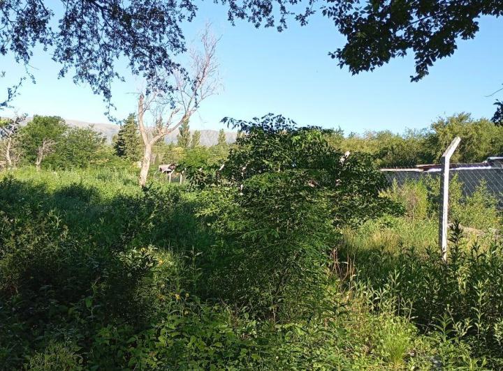 Terreno · 118877m²
