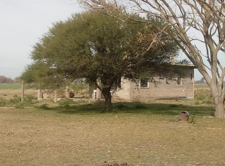 Campo · 10000m² · 1 Dormitorio