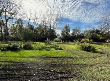 Campo , Exaltación de la Cruz · 5 Ha en Venta