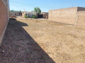 Terreno , Centenario · Terreno con Servicios Apto Credito en Centenario