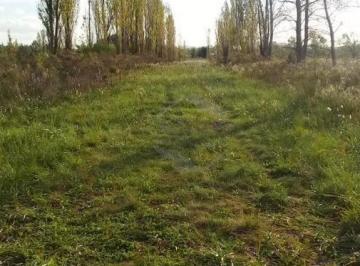 Terreno · 1700m² · Venta. Lotes 1.700 m². Molino Blanco. Exaltación de La Cruz