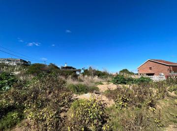 BPV-BPV-10904_2 · Lote | Delfines