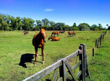 Campo · 6050m² · Venta Estancia en Solis