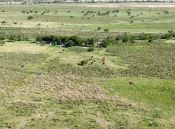 Campo · 200000m² · Vendo Campo 20 Has en Ruta 39 Concepción del Uruguay Entre Ríos